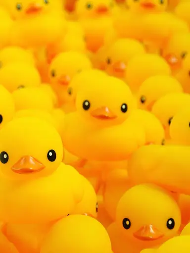 Lucky Ducky Show! $1 SB On Jewelry + Postcards 