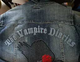 Cropped jean jacket  vampire diaries