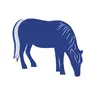 Made In Pony Montana