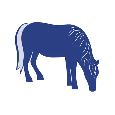 Made In Pony Montana