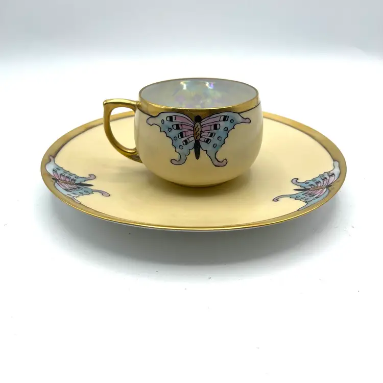 Stunning Thomas Bavarian Art deco Hand Painted Tea Cup & Matching Plate Saucer Butterfly Moth Iridescent