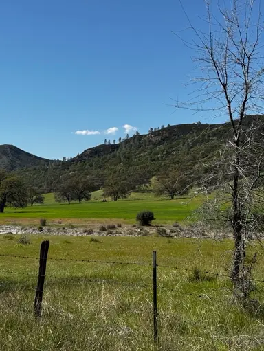 Paso Robles/Cambria Finds Unbagging + Shop Shelves Niknax.net 
