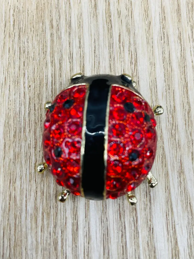 Ladybug Brooch