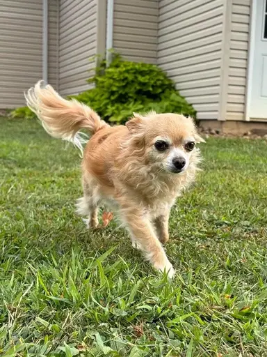 What Have I Found For You? Come See! 