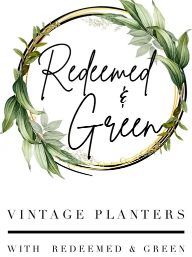 Help Me Plant Ranunculus 