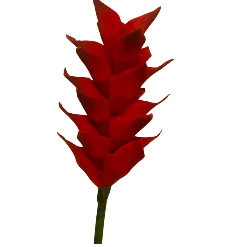 125  Handcrafted Red Crepe Paper Flowers Super UV Reactive Made By Me Blossom Is 7” Long By 4” Diameter