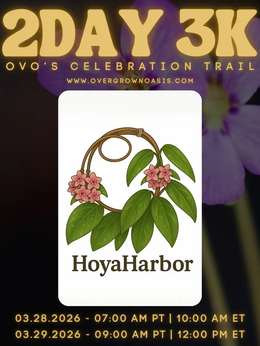 Livestream thumbnail