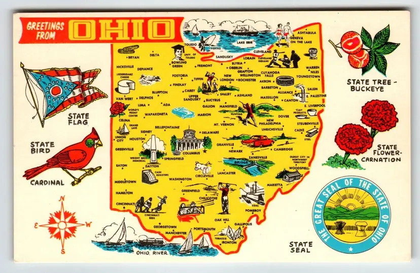 Postcard Greetings From Ohio Map Chrome State Flower Carnation Cardinal Buckeye