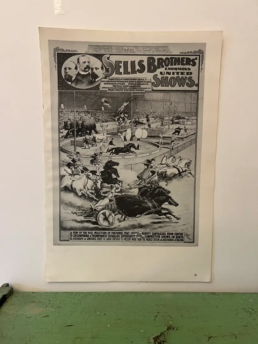 Circus Poster Vintage Ephemera. Sells Brothers Three Ring Circus. 16x11." 1970s