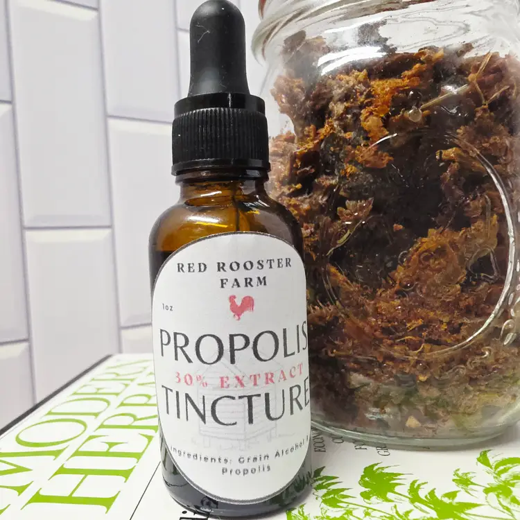 Propolis Tincture 1 oz