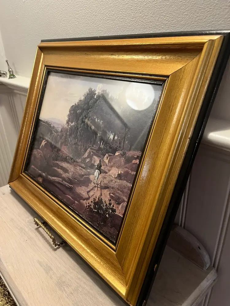 Framed Print