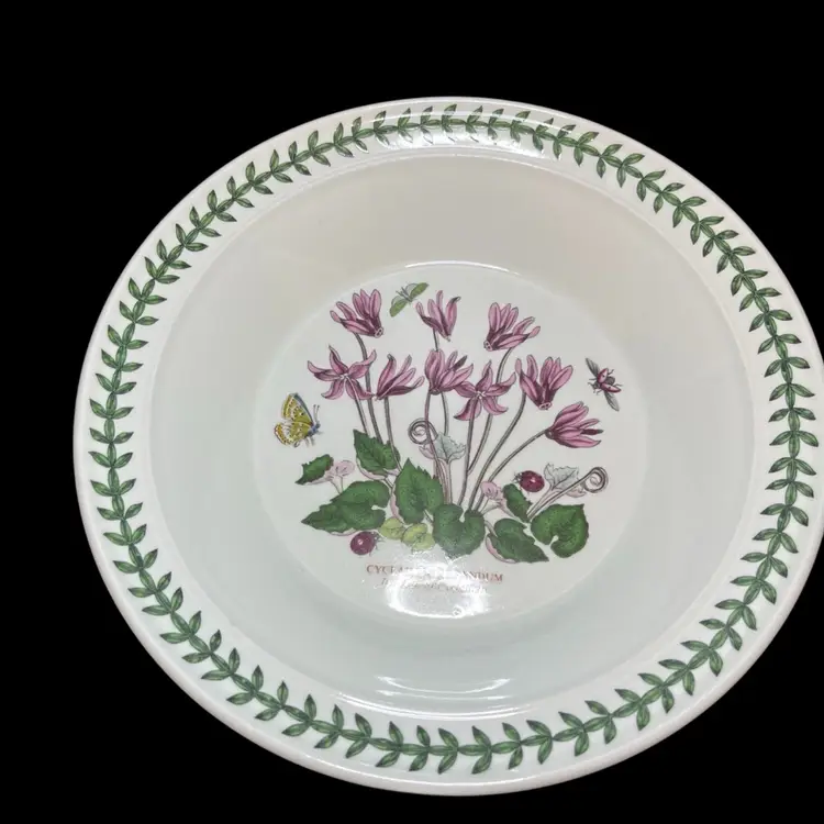 VTG Set of 4 Portmeirion Botanic Garden Pasta Soup Bowls Made in Britain - 8.5"