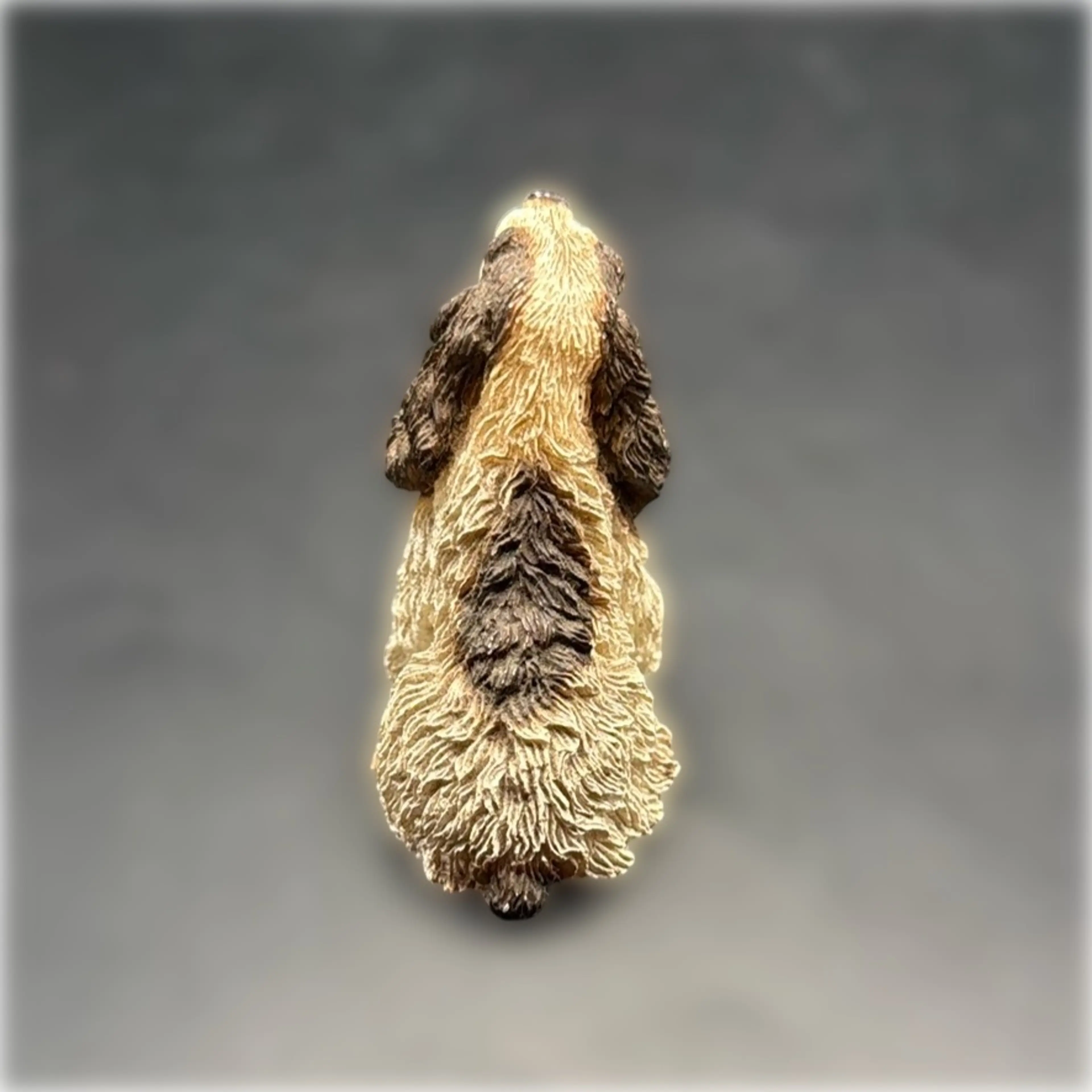 Image 3 of 5