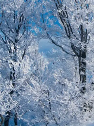 Saturday Night Sale 3.00 Start