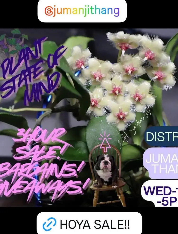 HUMPERSDAY Sales 10/7