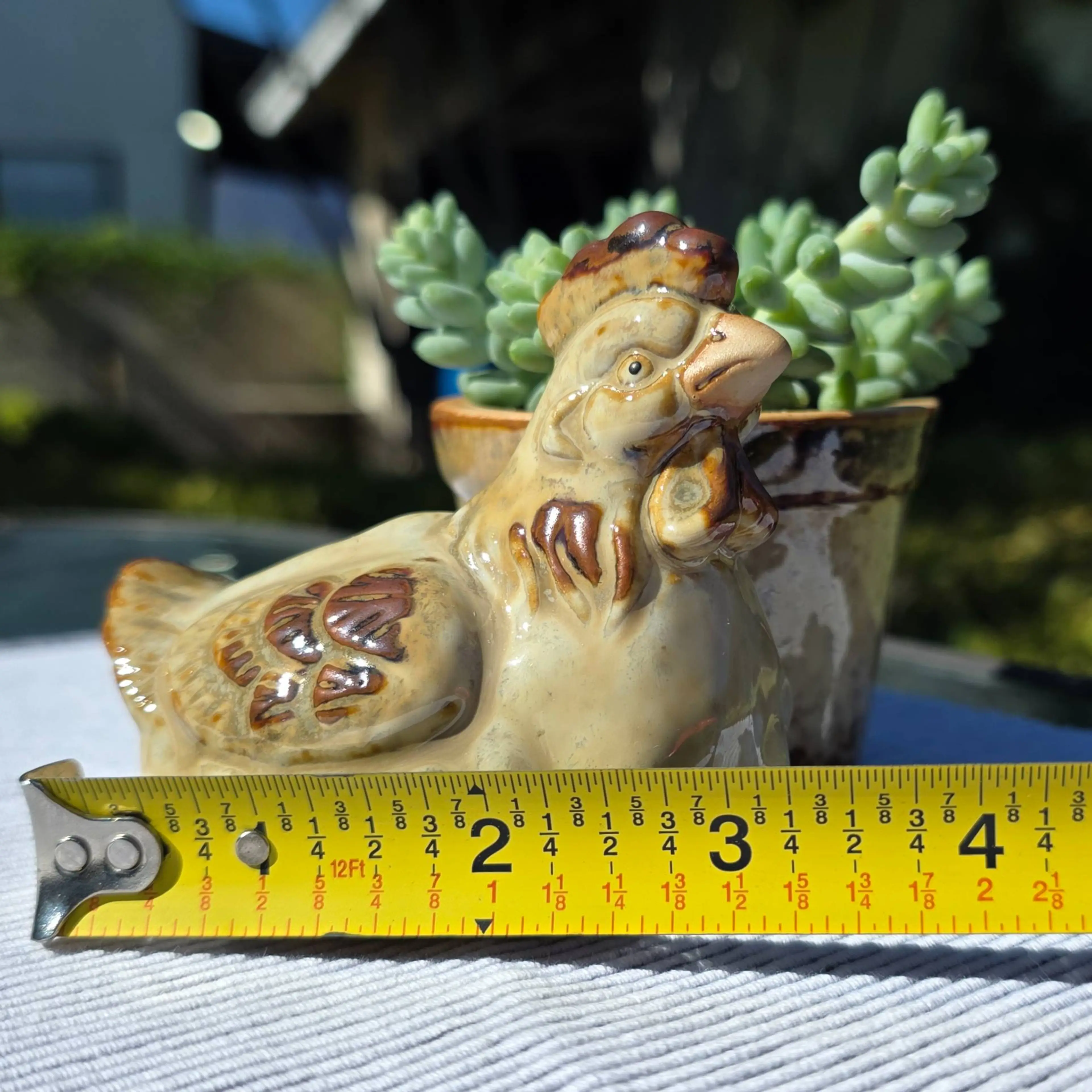 Image 5 of 10