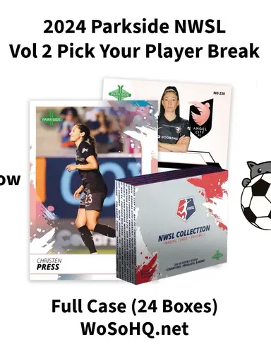 2024 Vol 2 PYP Case Break