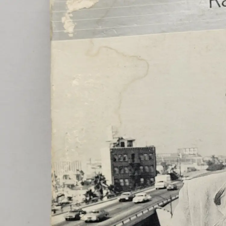 RANDY NEWMAN LITTLE CRIMINALS LP Record Vinyl Untested Sold As Wall Art