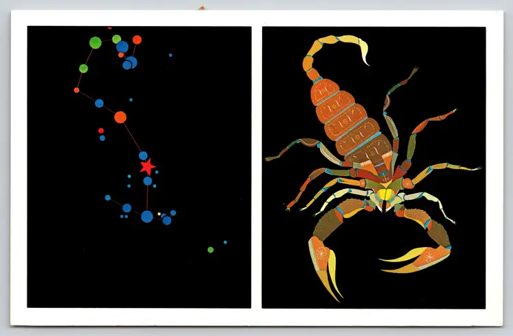 Postcard Scorpius the Scorpion Zodiac Sign Constellation Astronomy  - 14078