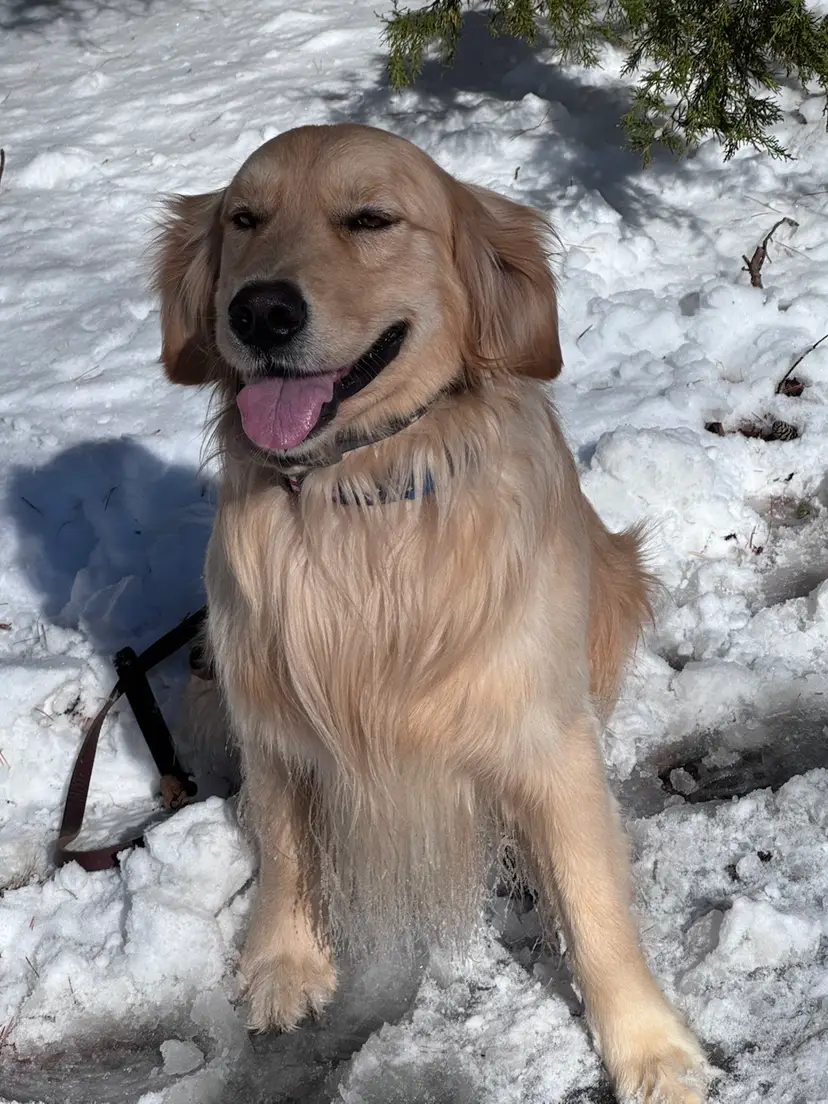 Livestream thumbnail