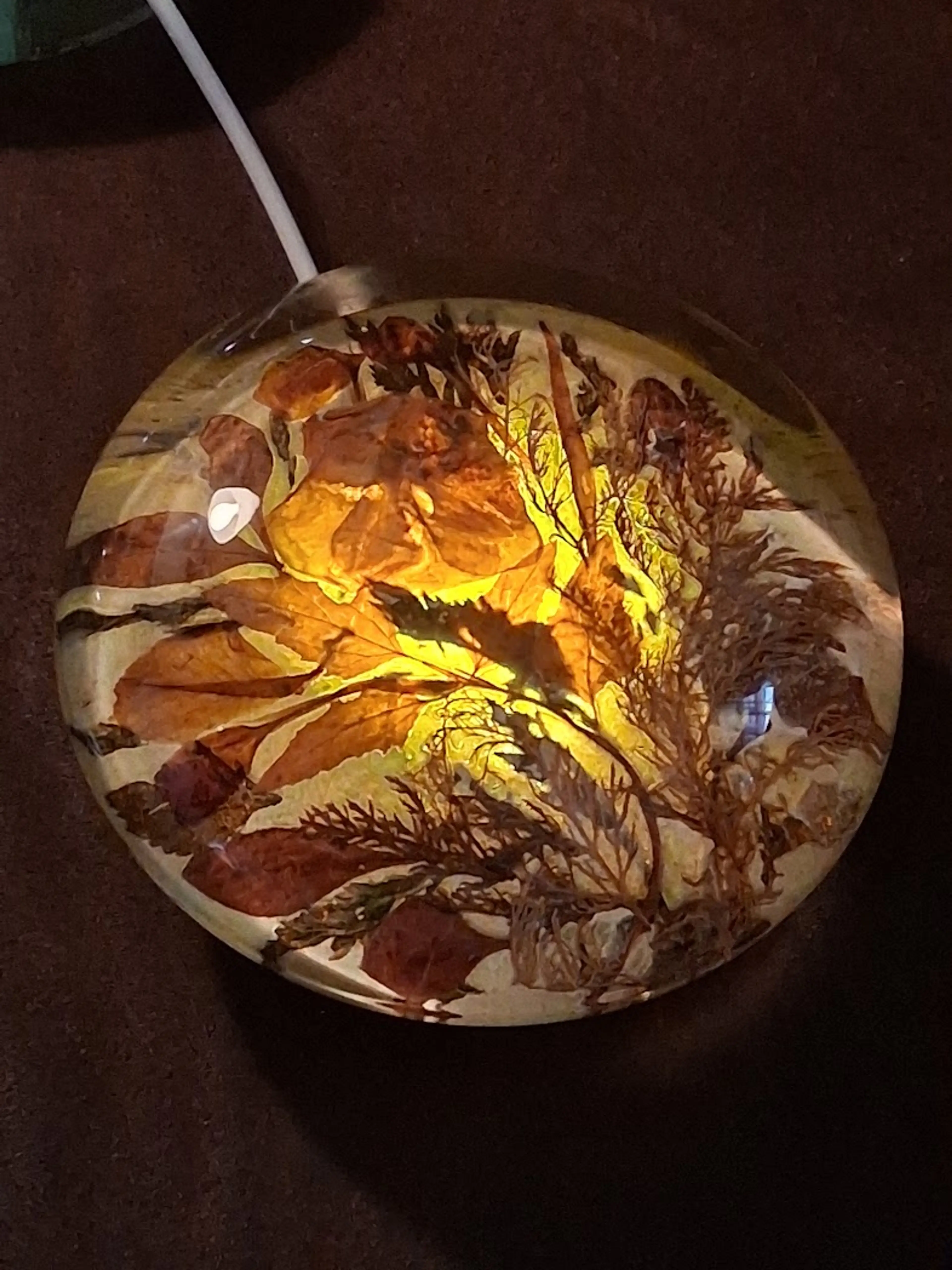 Image 2 of 6
