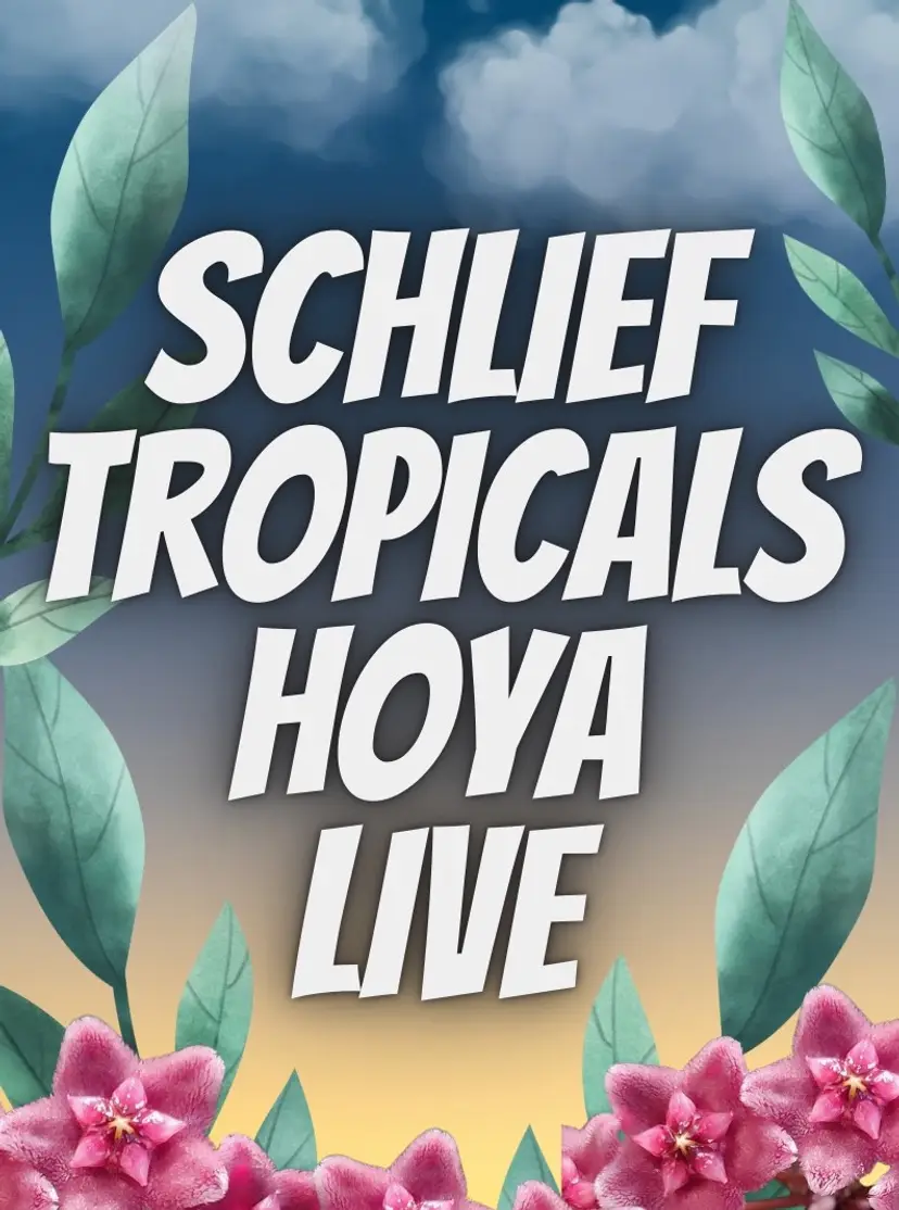 Livestream thumbnail