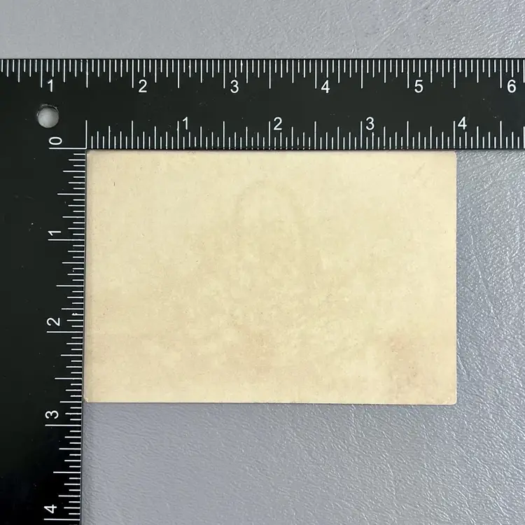 Victorian Trade Card Forget Me Nots In Wicker Basket Flowers Florals Blue Pink