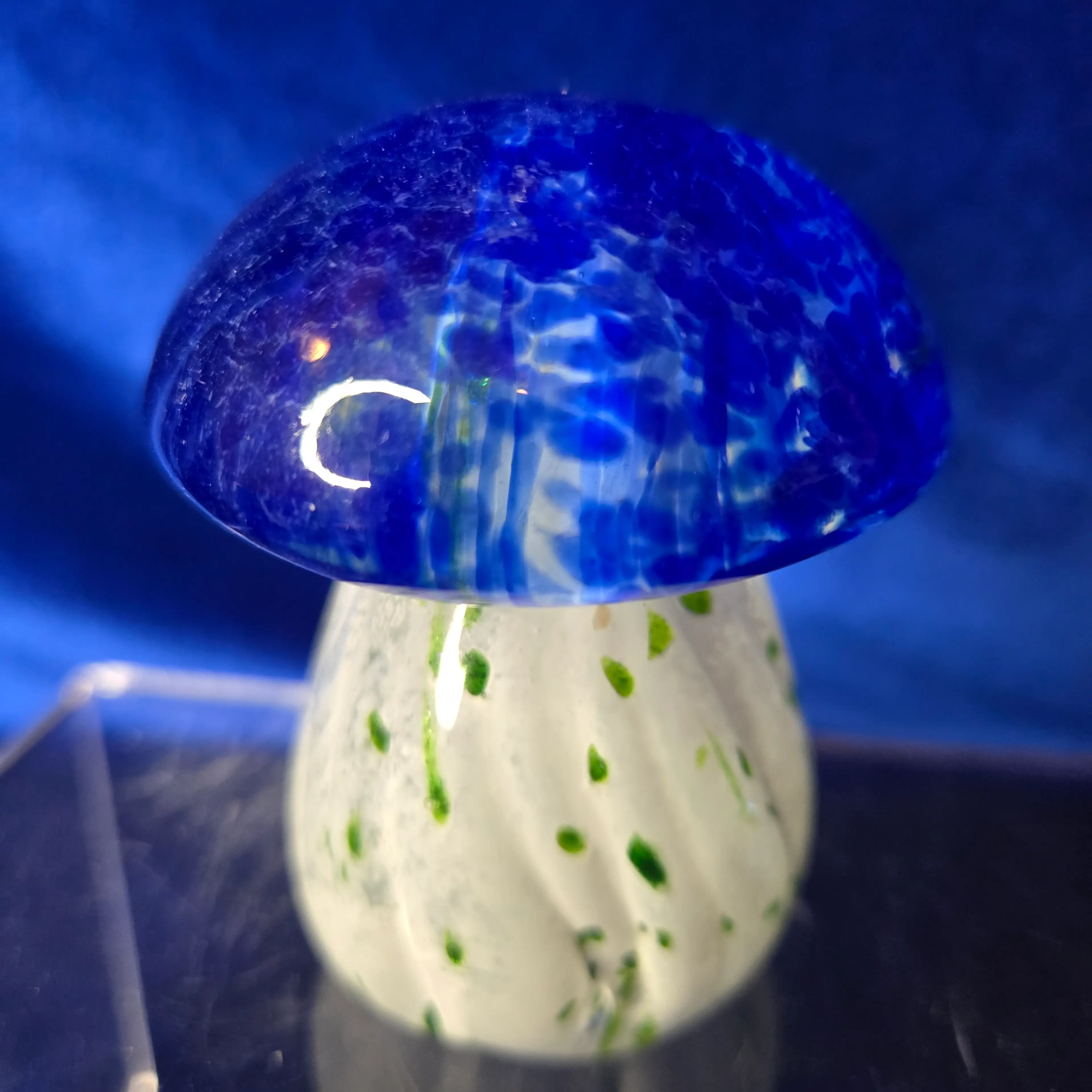 Image 5 of 6