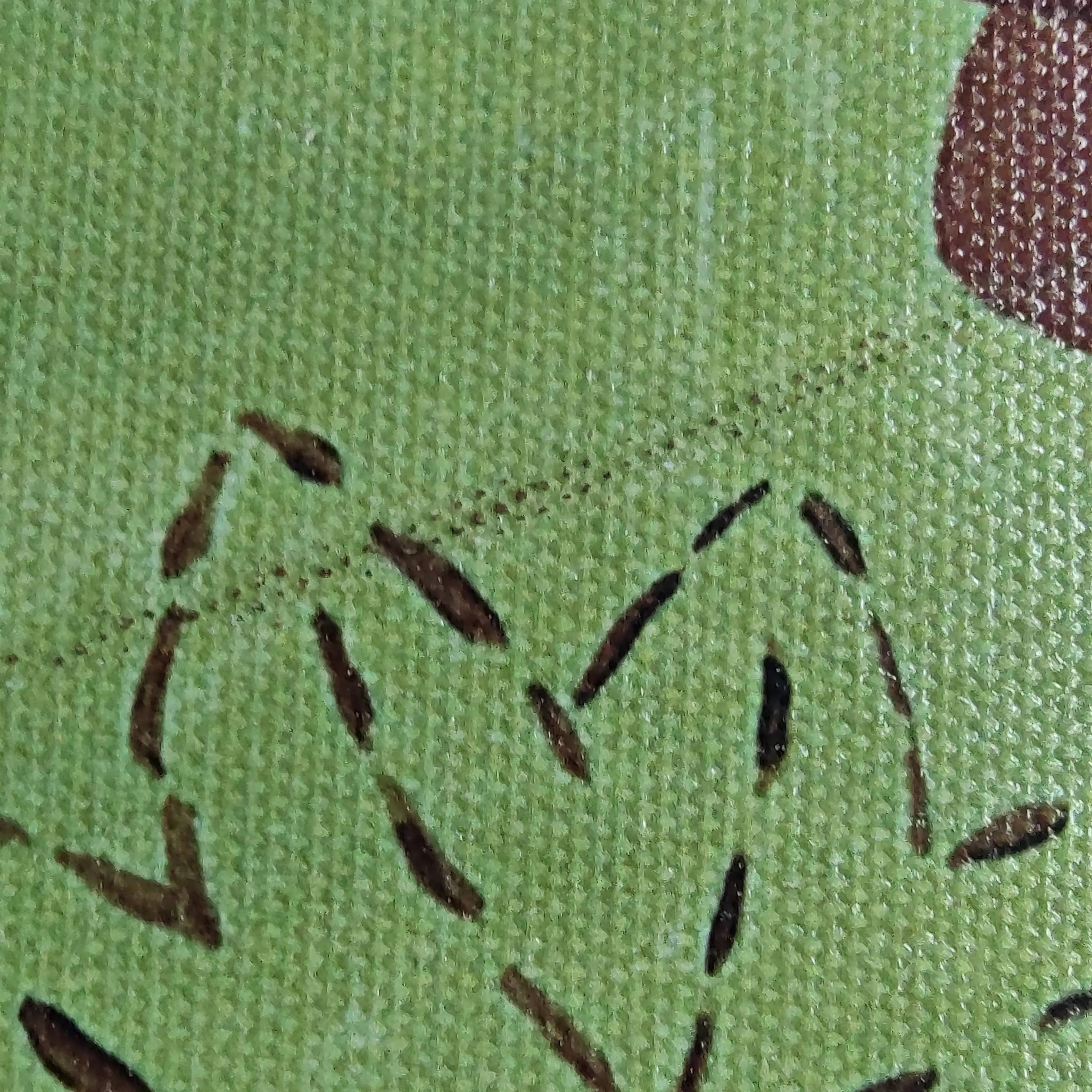 Image 4 of 7