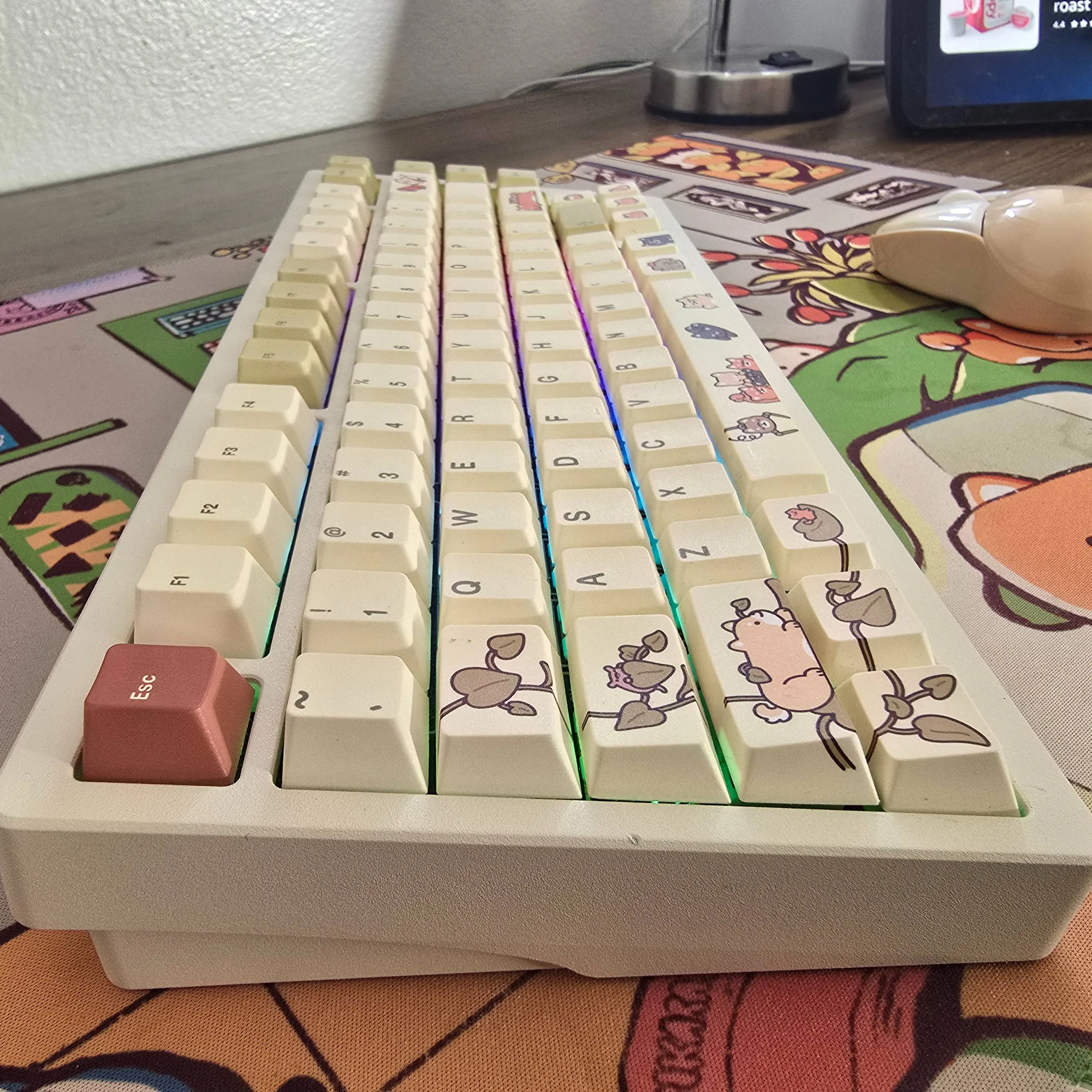 Complete Mechanical Keyboard Bundle — Keyboard + Limited Keycaps + Deskmat (Original Packaging)