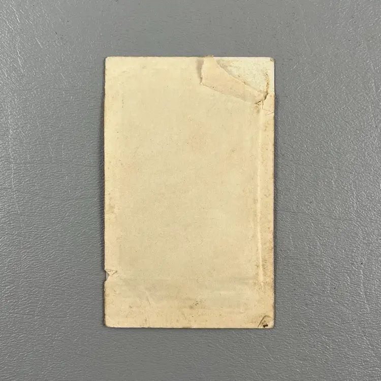 Antique Photo Portrait Tin Type Tintype Young Man Blue Eyes Vest Leather Gloves