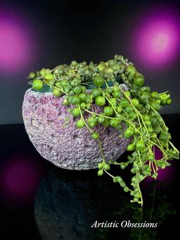 Moon vibes, textured cement pot