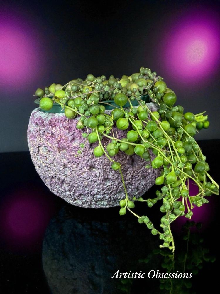Moon vibes, textured cement pot