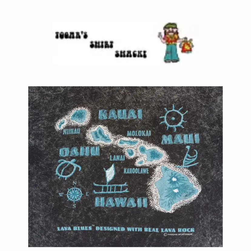 vintage Lava blues Hawaii Island t-shirt flaming volcano logo turtle