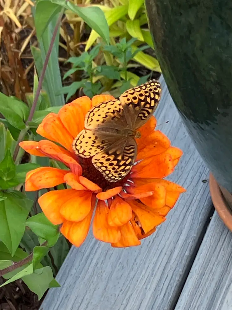 Monday Afternoon Shopping With RSM