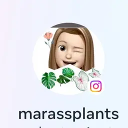 marasplants