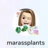 Marasplants