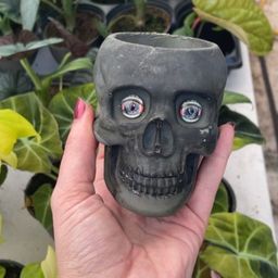 Pot
