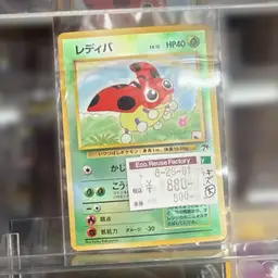 Southern Islands Ladybug