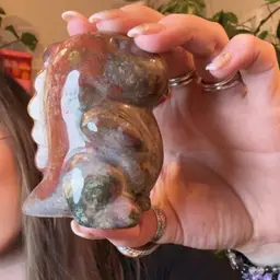 Ocean Jasper Dino 30F