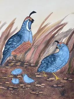 Signed Louise Akins 1982 Watercolor Quail Painting 14"X11" - unframed rough edges