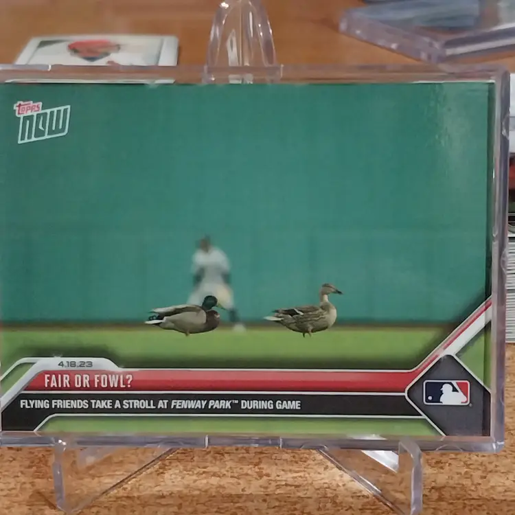 Fair Or Fowl 2023 Topps Now Fenway Ducks