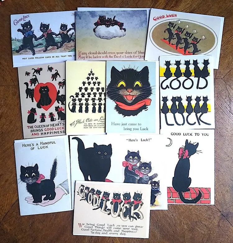 Black Cat Good LuckPack ! 12 x Vintage Cat Design Greeting Card Variety Pack