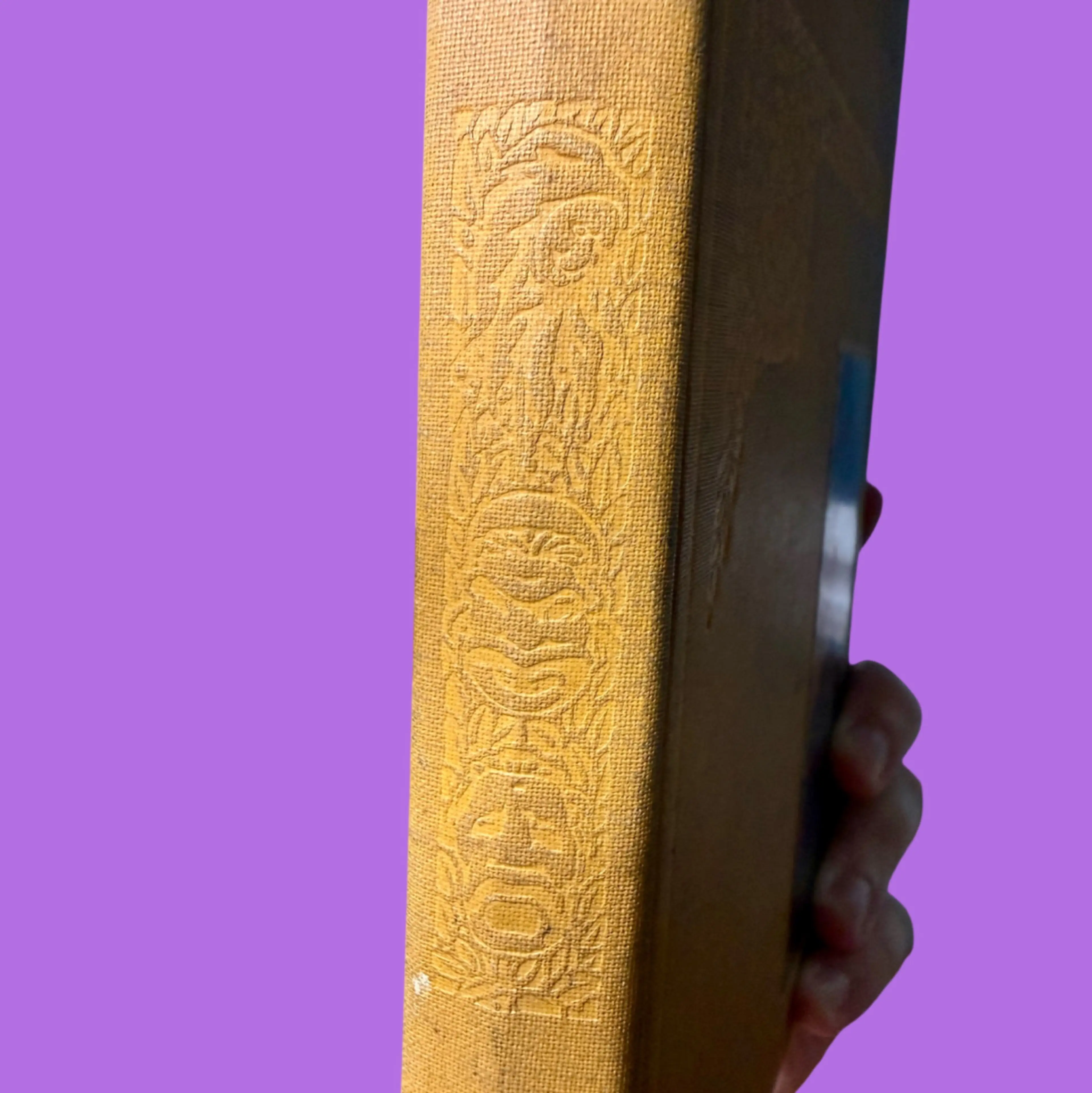 Image 4 of 16