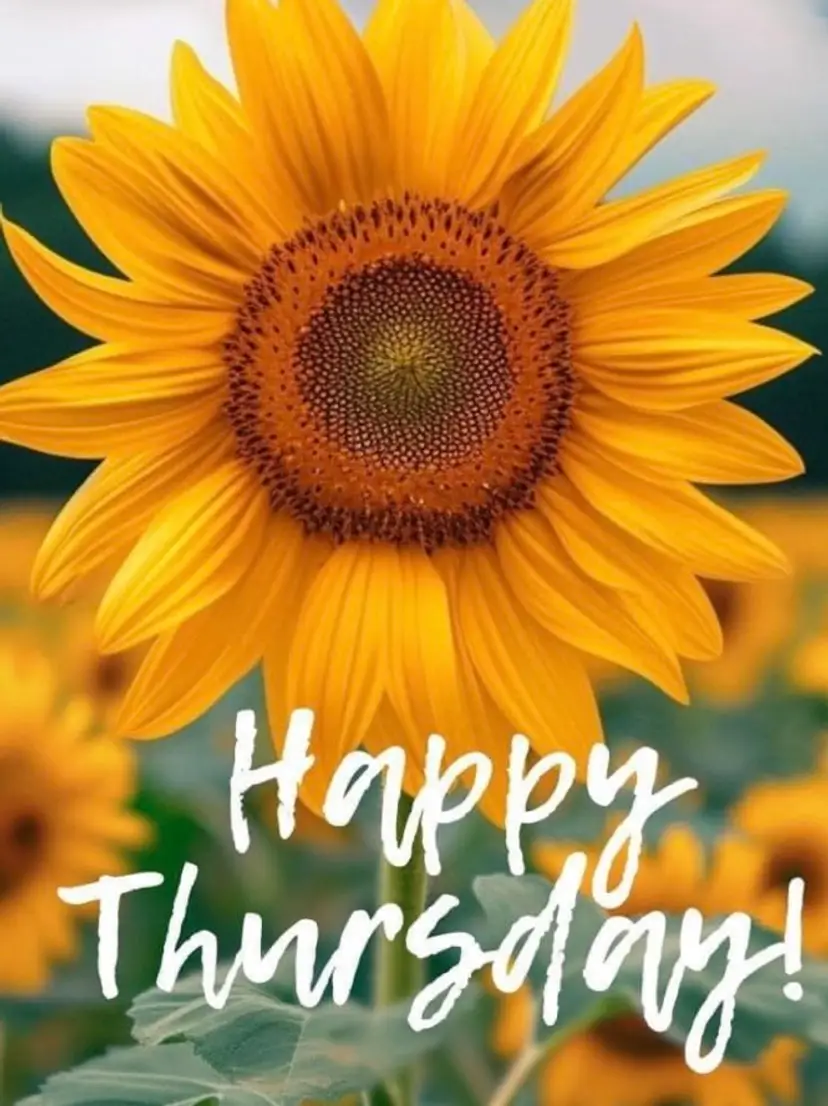 Livestream thumbnail