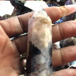 #35 - Sunday with the Peacock!!