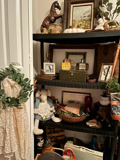 Shop My Shelves With Me!