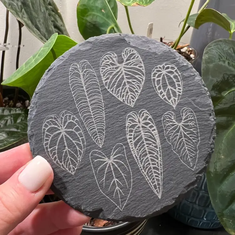 Slate Coaster with Anthurium Illustrations