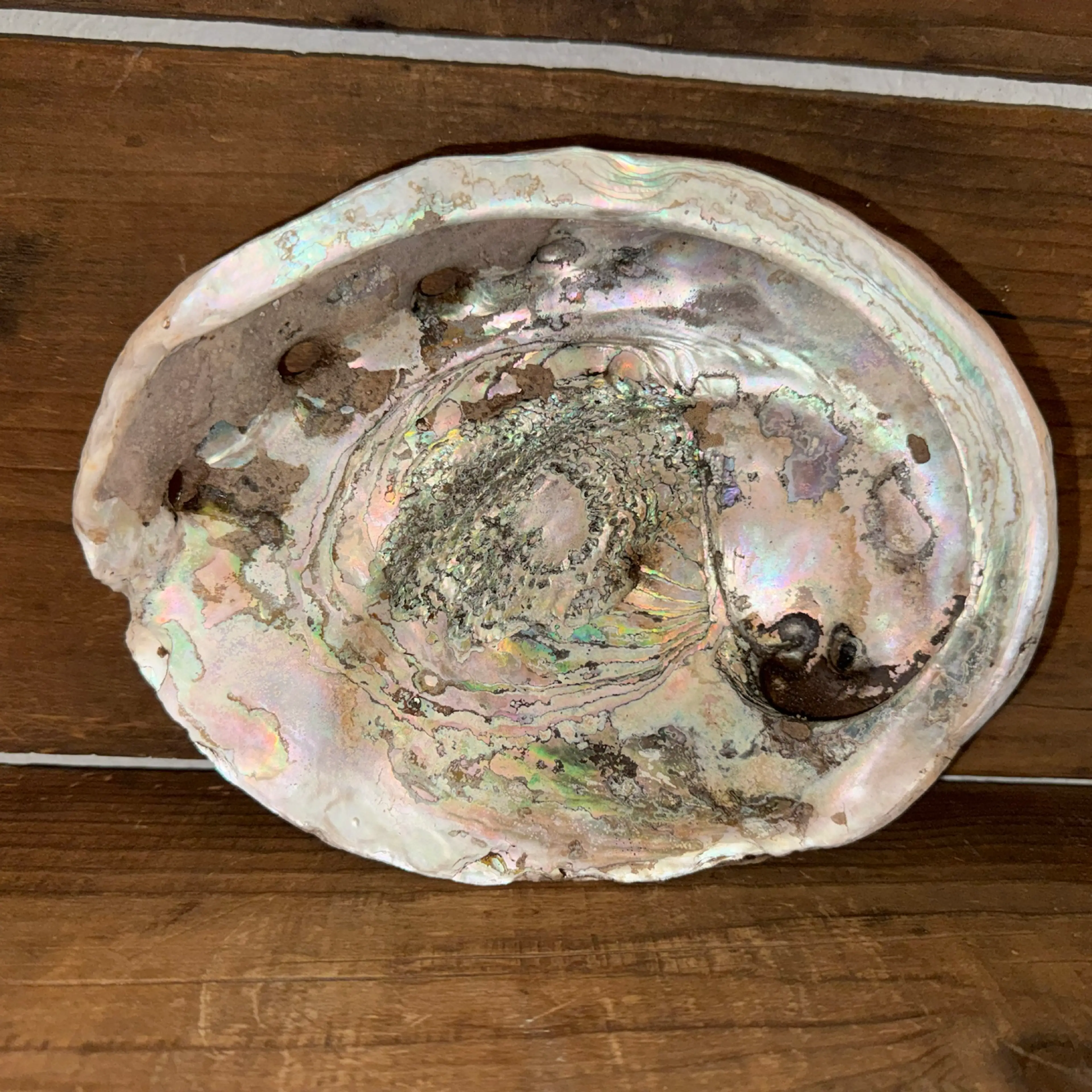 Image 2 of 7