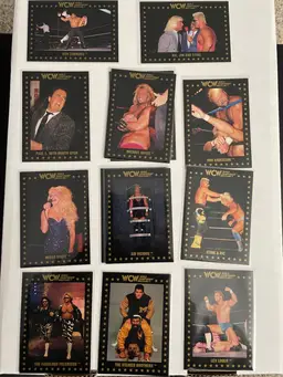 Lot Of 21 WCW 1991 Cards World Championship Wrestling
